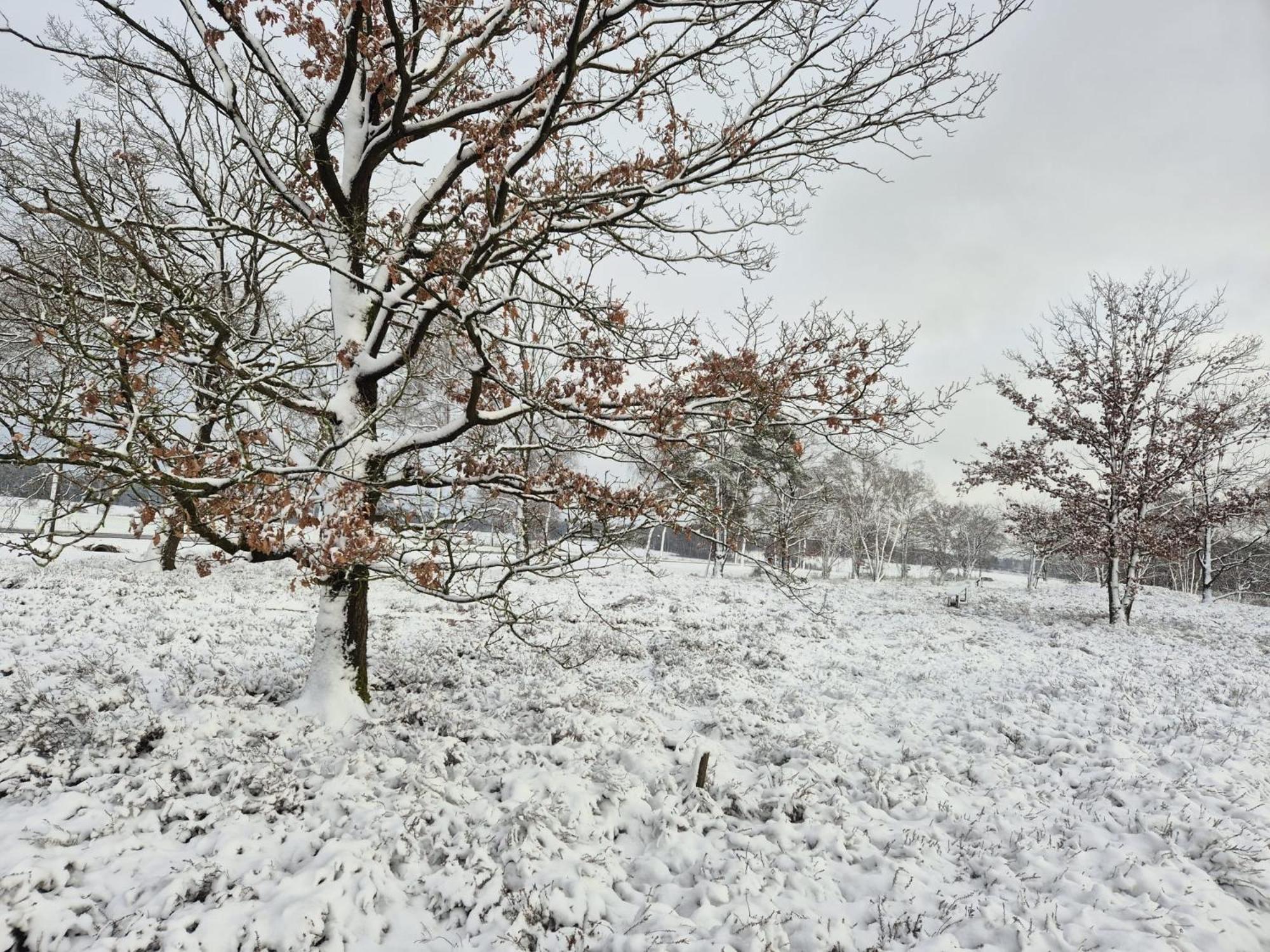 Ferienwohnungen Liedtke Bispingen Bagian luar foto