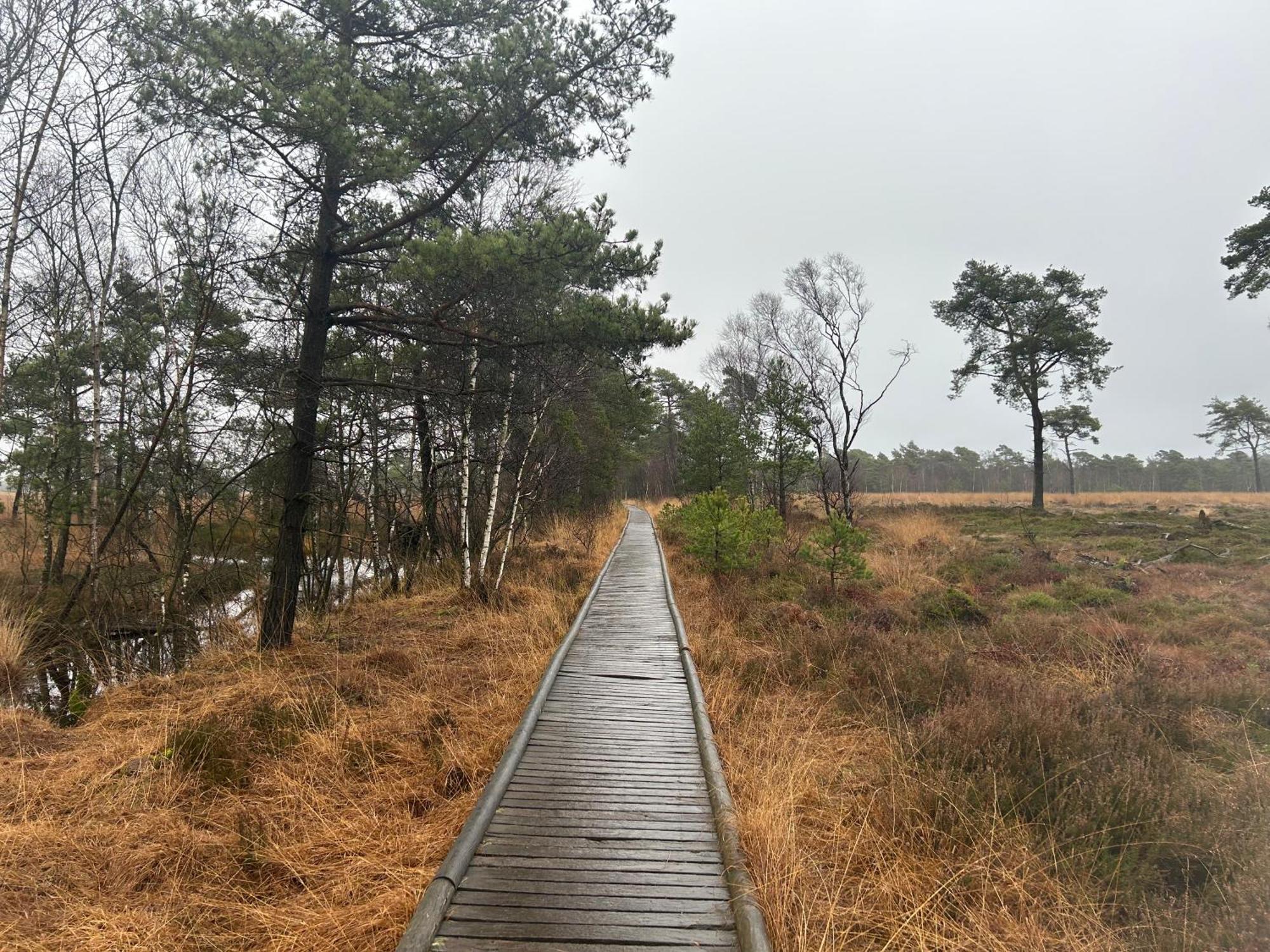Ferienwohnungen Liedtke Bispingen Bagian luar foto