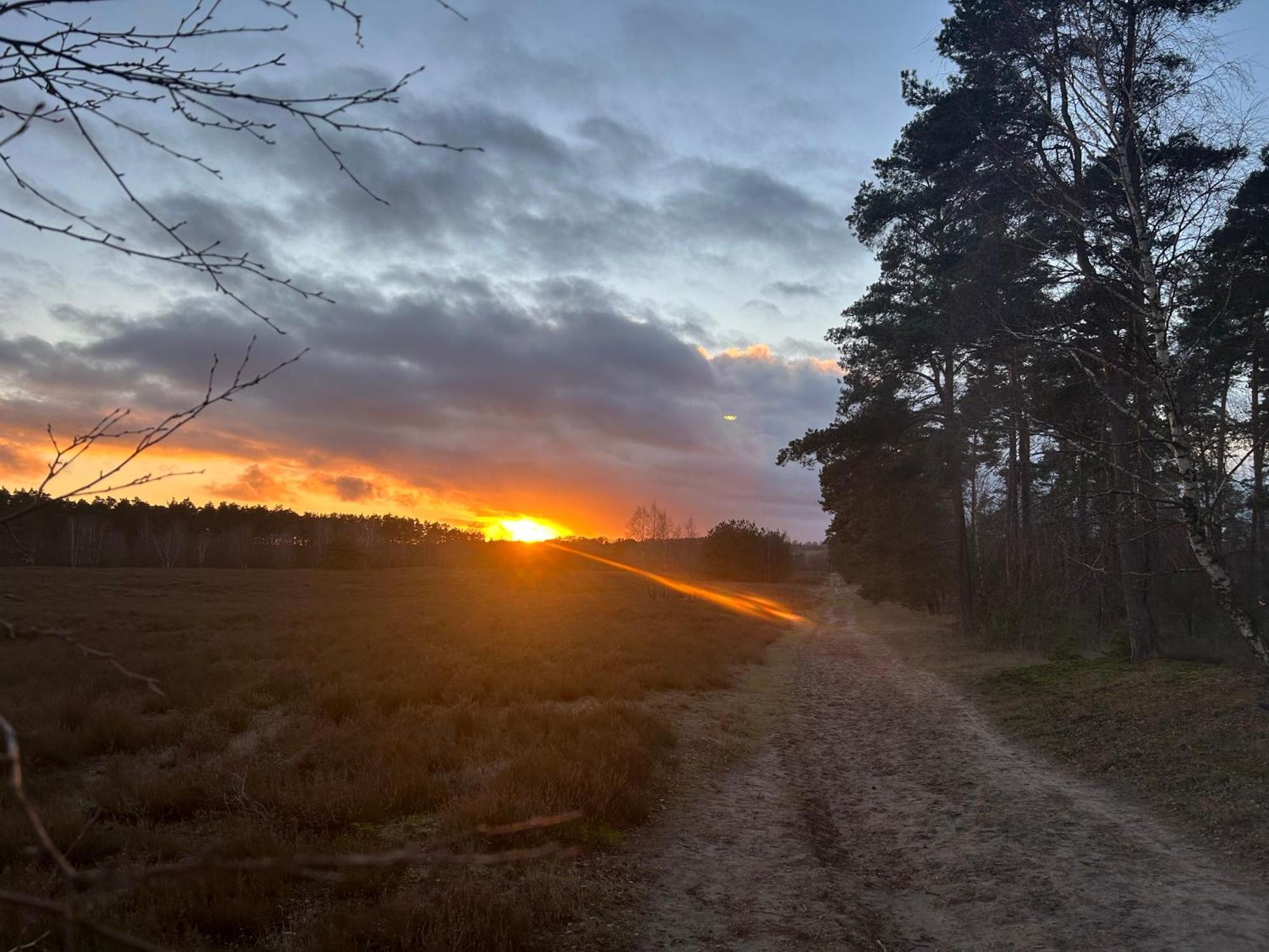 Ferienwohnungen Liedtke Bispingen Bagian luar foto