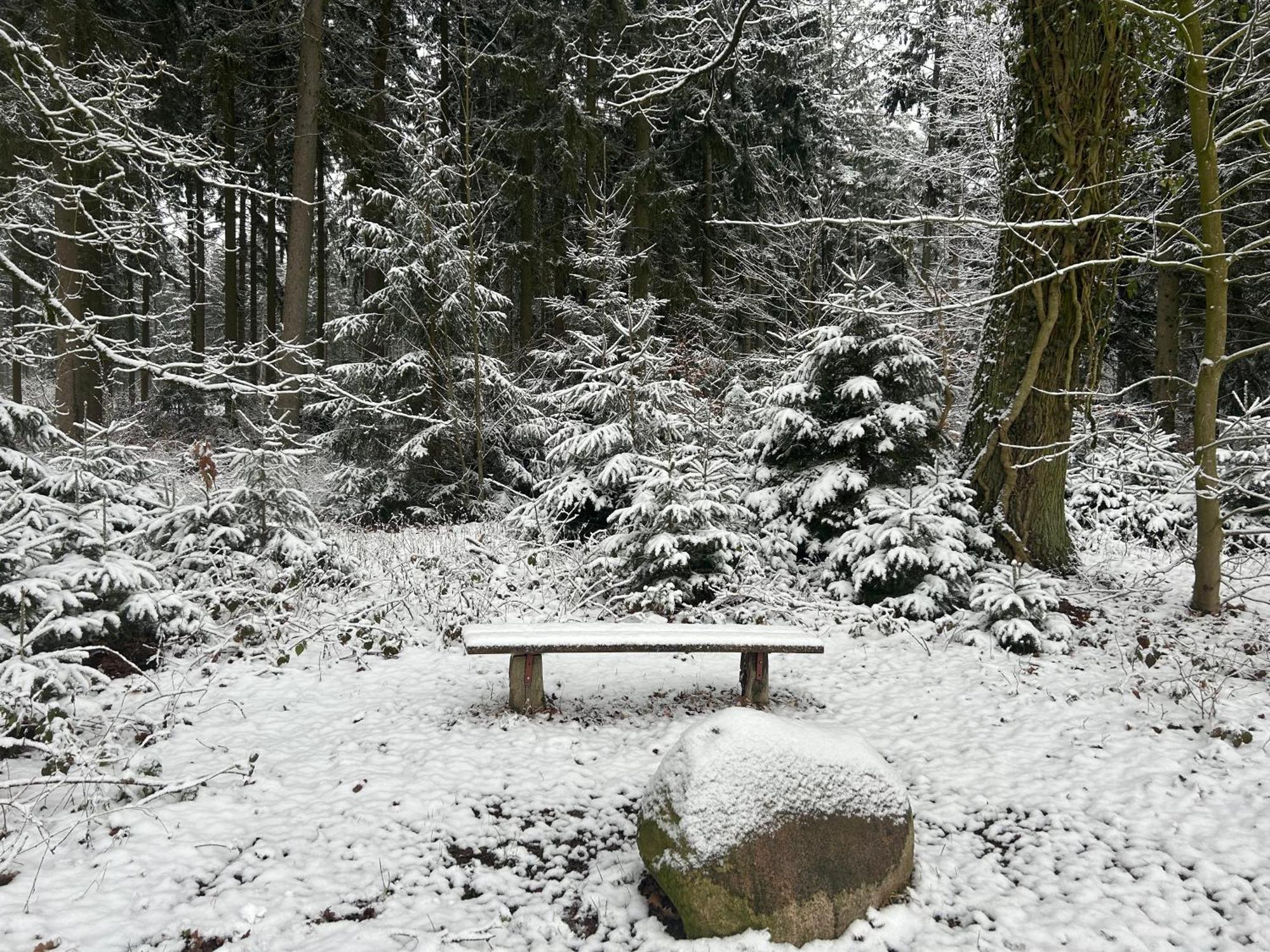 Ferienwohnungen Liedtke Bispingen Bagian luar foto