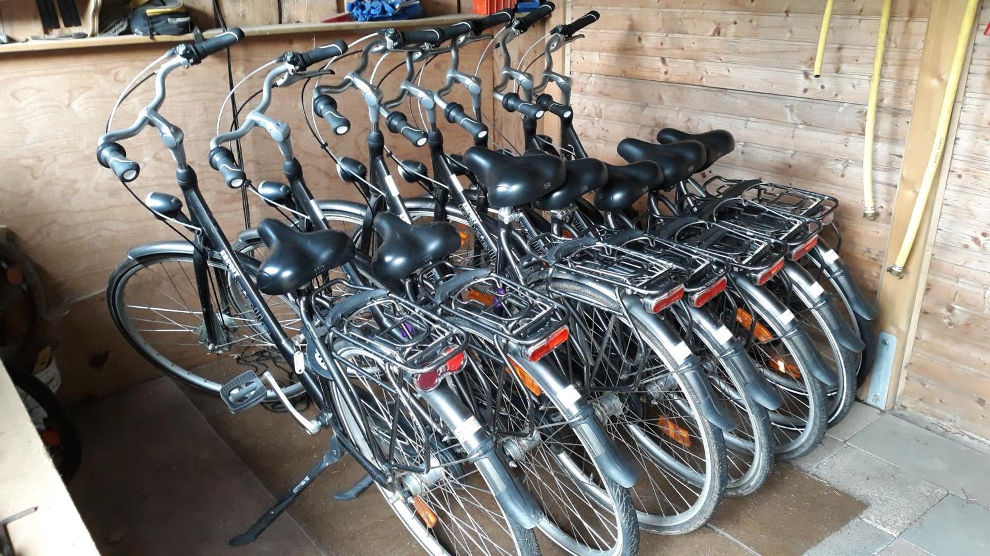 Ferienwohnungen Liedtke Bispingen Bagian luar foto